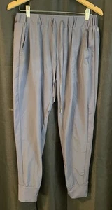 APANA Women’s Athletic Jogger Tech Pants Blue Drawstring, Logo Sz Large - Picture 1 of 4