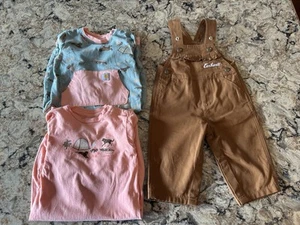 Carhartt Baby Clothing Lot Girls 9 Months Overalls Coveralls Tent Camping Dogs - Picture 1 of 12