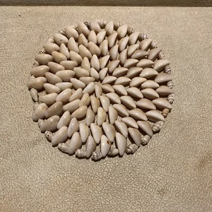Vintage Cowrie & Puka Shell Trivet - 6” - Picture 1 of 4
