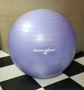Bouncyband Balance Ball No-Roll Weighted Flexible Chair School/Office purple - Picture 1 of 12