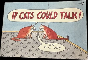 Book If Cats Could Talk! By P.C. Vey Softcover - Bild 1 von 4
