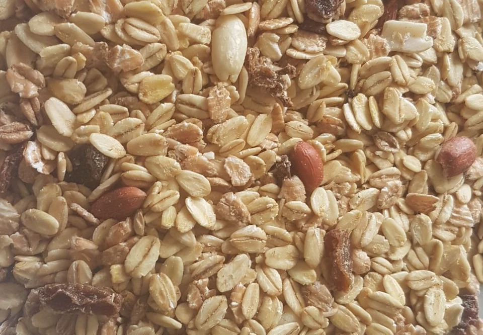 Fettfutter Winterfutter 5kg Meisen Rosinen Vogelfutter - Bild 1 von 1