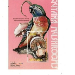 Guyana - 2000 - Mushrooms - Souvenir Sheet - MNH - Picture 1 of 1
