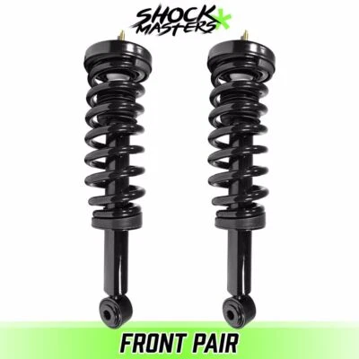 Front Pair Complete Struts for 2009-2013 Ford F-150 4WD Foto 1 de 4