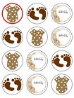 Babyshower gender neutral pampas cupcake Toppers decoration Wafer or Icing x12