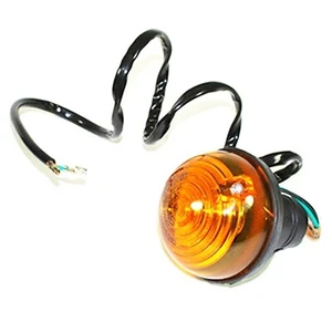 FANALINO FRECCIA ANTERIORE POSTERIORE LAND ROVER SERIES 3 DEFENDER 90 110 RTC501 - Foto 1 di 3