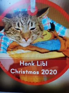 Scoot & Newts Present the Franklin & Butters Christmas 2020 with Hank Libl - Picture 1 of 1