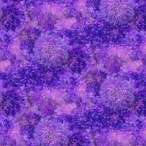 Purple Chrysanthemums, Fabric, Garden Delight, Timeless Treasures, CD3504-PURPLE - Picture 1 of 1
