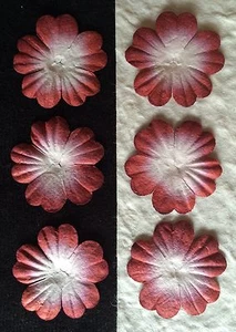 20 Burgundy Cranberry Brick Red flower Handmade Mulberry Paper Flowers petals - Picture 1 of 4