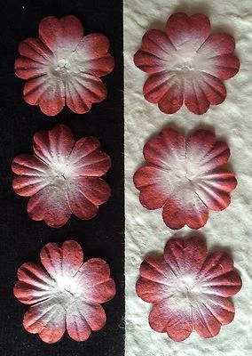 20 pétalos de flores de papel de morera hechas a mano de flor roja ladrillo de arándano borgoña   Foto 1 de 4