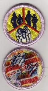 Family Life (Silver Brd.) Insignia de Mérito, Tipo J "Scout Stuff" Espalda (2002-10), MT - Imagen 1 de 1