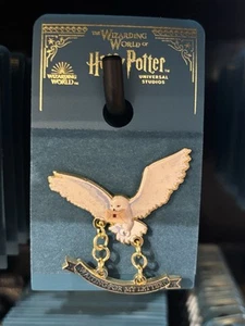 Universal Studios Harry Potter Hedwig Owl Waiting For My Letter Collection Pin - Picture 1 of 1