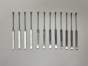 12 Spay Snook Haken Overiektomie tierärztliche chirurgische Instrumente - Bild 1 von 9