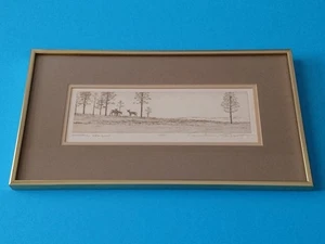 JONATHAN TALBOT ORIGINAL RADIERUNG "BERGWIESE" gerahmt 14/50 signiert - Bild 1 von 14
