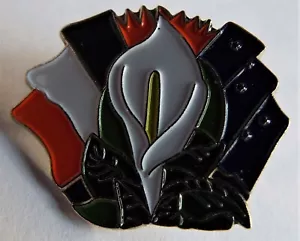 Insignia de solapa conmemorativa republicana irlandesa LILLY arado estrellado Irlanda - Imagen 1 de 2