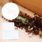2 pièces terrarium reptile fourmis château boîte d'alimentation fourmis maison fourmis acrylique fourmis ferme