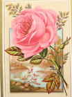 Antique Victorian Trade Card Large Pink Rose E.W. Gillett Baking Powder 4X6