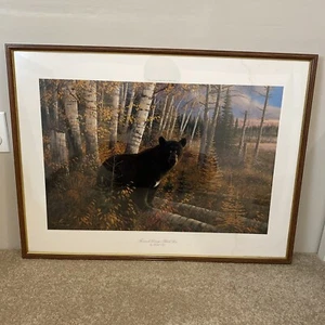 Very Rare Michael Sieve Tamarack Swamp - Black Bear - Wildlife Signed 101/750 - Picture 1 of 22