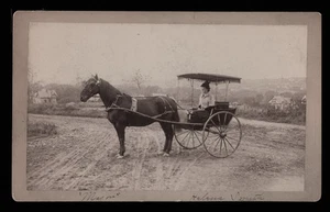 1890 Foto Helena Smith, Kutsche, Pferd, Madison Hill, Syrakus - Bild 1 von 4