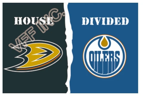 Anaheim Ducks Flag 3x5ft Banner Polyester Ice Hockey Stanley Cup ducks025 Cover
