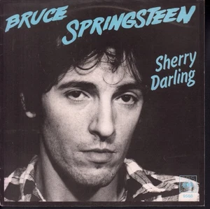 Bruce Springsteen Sherry Darling 7" vinyl Netherlands Cbs 1980 pic sleeve - Picture 1 of 3