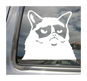 Angry Grumpy Cat - Divertido Humor Loco - Coche Auto Ventana Vinilo Calcomanía Adhesiva 01038 - Imagen 1 de 2