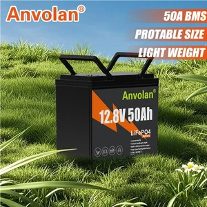 Akku 50Ah 12V Lithium LiFePO4 Batterie Boot Wohnmobil Camp Marine RV Heim Garten - Bild 1 von 11