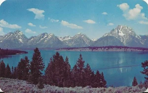 Cartolina Wyoming Grand Teton Nat'l Park Teton Range & Jackson Lake NrMINT anni '50 - Foto 1 di 1