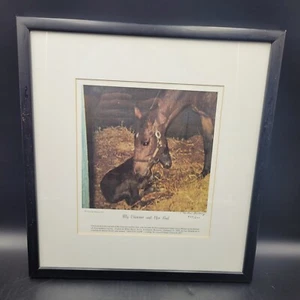 "Born To Win" Framed Print 382/500 Seattle Slew Christine Mallory Horseracing - Picture 1 of 6