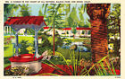 Corner in the Court of All Nations, Balboa Park, San Diego Vintage Postcard G20