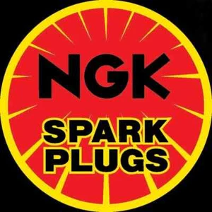 Bujía NGK # BR4HS OEM - Imagen 1 de 1