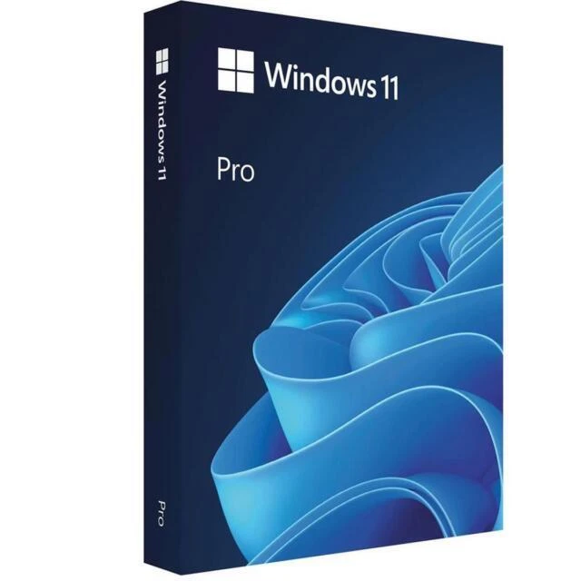 Microsoft Windows 11 Professional 64-bit OEI DVD - English