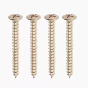 Allparts GS-0005 Neckplate Screws - Nickel, Pack of 4 - Picture 1 of 1