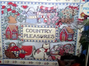 No Piecing Mini Quilt Kit Printed Design Nähen COUNTRY PLEASURES by Dimensions - Bild 1 von 1