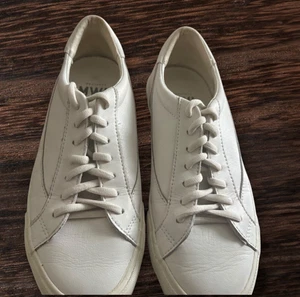 Madewell Unisex Sidewalk Low-Top Unisex Wthie Sneakers Size 8M Women/6.5M Men - Picture 1 of 21