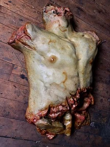 Torso Chest Halloween Prop Gory Bloody Horror Haunted Dead Men Tell No Tales - Picture 1 of 5