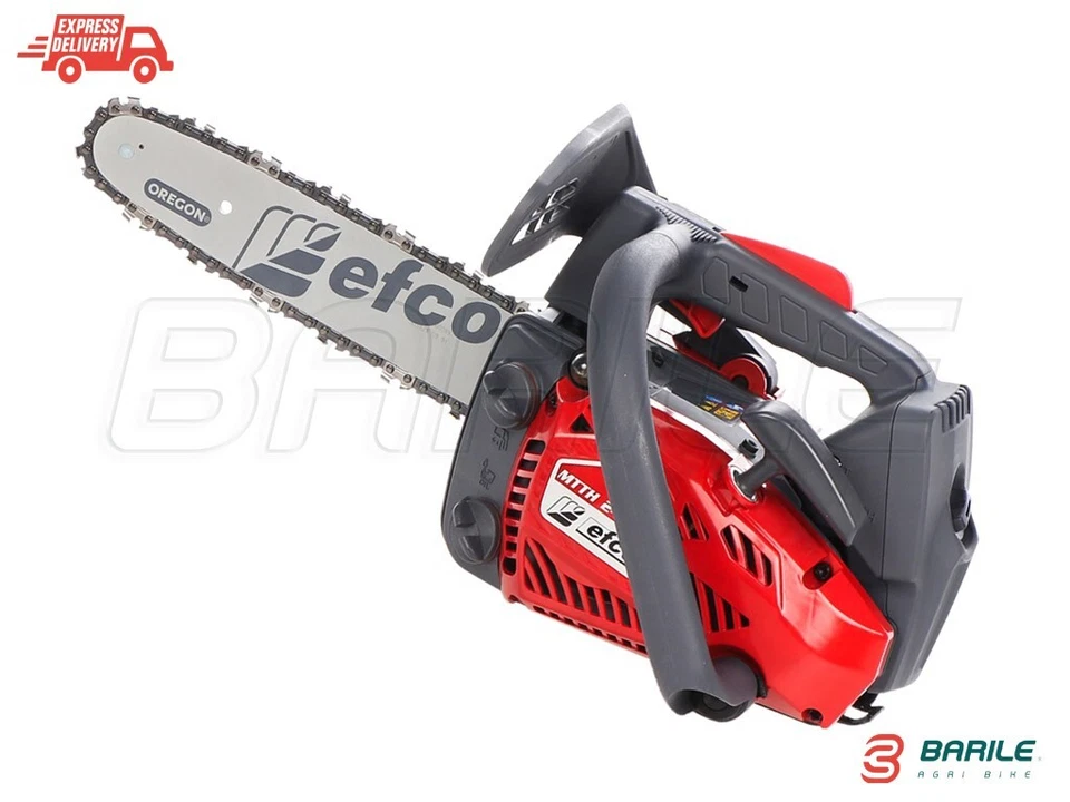 Motosega EFCO MTTH 2400 da Potatura - 25,4 cc - 3,6 Kg - BARRA ROCCHETTO 25 cm - Immagine 1 di 4