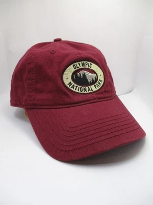 Parque Nacional Olímpico Mt. Gorra Olympus Sombrero Bosque Montañas Árboles Aire Libre Senderismo Foto 1 de 4