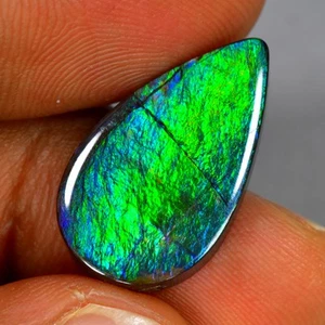 11.38Ct Resplendent Multi-color Flashing Natural Canadian Ammolite Gemstone - Picture 1 of 2