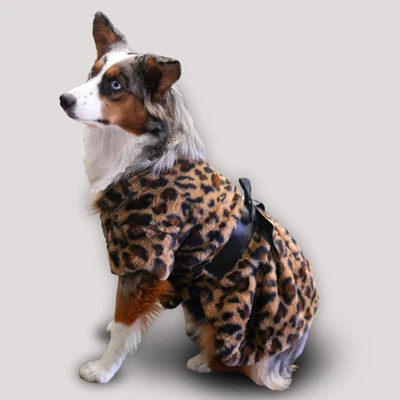 Leopardo a Juego - Abrigo de mamá / Vestido de cachorro / Suéter de cachorro Foto 1 de 4