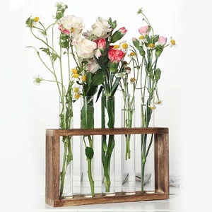 Einfache Vase Reagenzglas Wasserpflanzbehälter Reagenzglas Pflanzvase - Bild 1 von 12