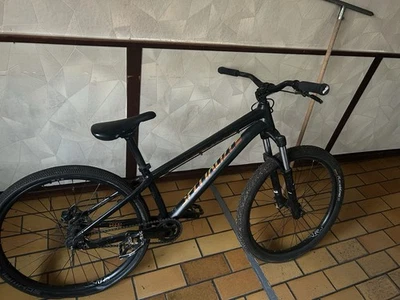 Specialized Dirt Bike - Bild 1 von 4