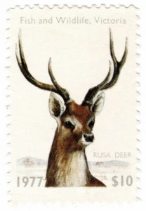 (I.B) Australia - Victoria Revenue : Hunting Tax $10 (1977) - Picture 1 of 1