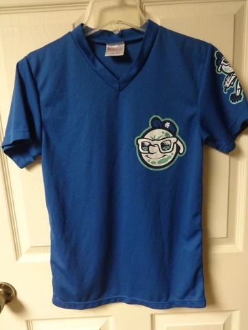 Vintage Asheville Tourists Minor League Baseball Pullover Jersey Youth Large SGA Cover