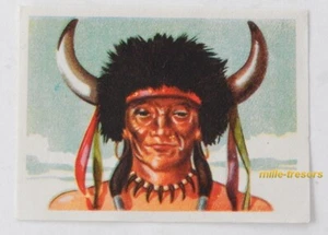 Image CHROMO Chocolat MARTOUGIN N°J16 Indien pour Album Chasseurs de Fauves - Picture 1 of 2