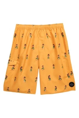 Rip Curl Niños Pequeños 4 Board Shorts Bañador Vacaciones Voleibol Hula Foto 1 de 2