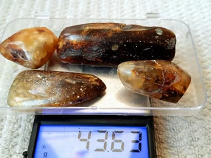 Baltischer 4 Bernstein polierter Stein Natur Insekt innen Anhänger 43g Halskette - Bild 1 von 12