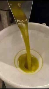 Aceite de Oliva Virgen Extra 5L - 🌿 Cosecha 2024 🌿- 100% Calabreso - Italiano - Imagen 1 de 8