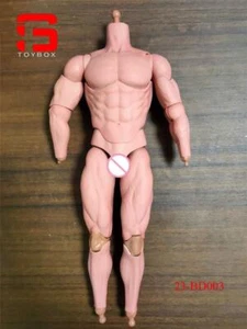 Articulate Body 1/6 Male Soldier Standard Muscle Joint Body Action Figure PVC - Picture 1 of 29
