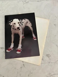 Dog See Spot See Spot Run. Run, Spot, Run! Greeting Card w/Envelope Exclamation - Picture 1 of 5